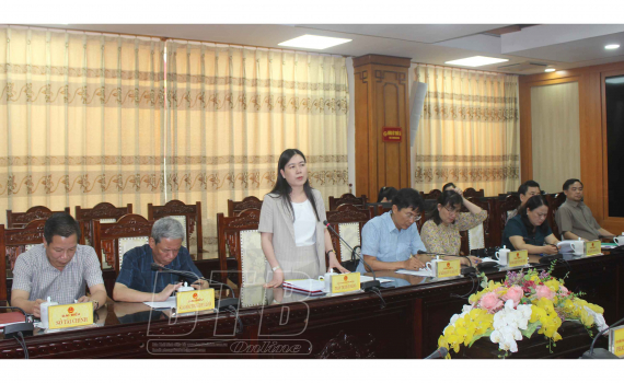 UBND tỉnh l&agrave;m việc với Ủy ban C&ocirc;ng t&aacute;c về c&aacute;c tổ chức phi ch&iacute;nh phủ nước ngo&agrave;i