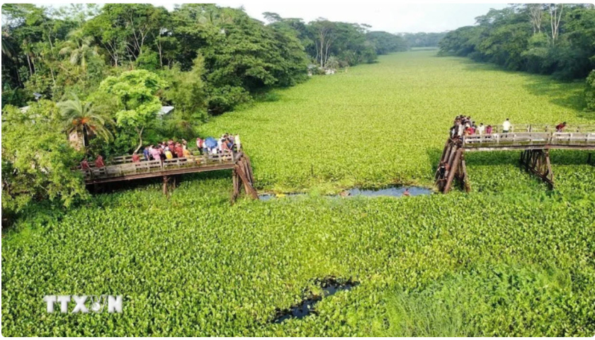 Sập cầu tại Bangladesh, khiến &iacute;t nhất gần 20 người thương vong