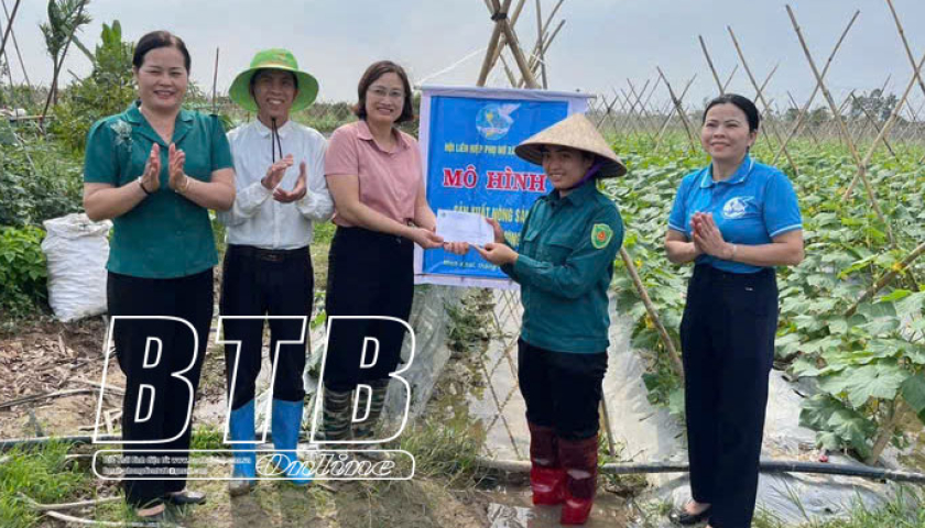 Hội Li&ecirc;n hiệp Phụ nữ tỉnh: Gần 700 c&ocirc;ng tr&igrave;nh tham gia x&acirc;y dựng n&ocirc;ng th&ocirc;n mới n&acirc;ng cao, kiểu mẫu