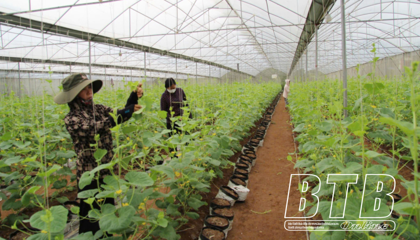 Kỳ II: Bền bỉ những chặng đường ph&iacute;a trước