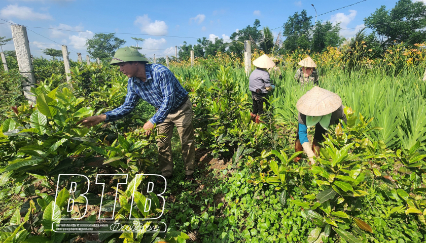 Sản xuất n&ocirc;ng nghiệp hữu cơ - hướng đi tất yếu của n&ocirc;ng nghiệp hiện đại