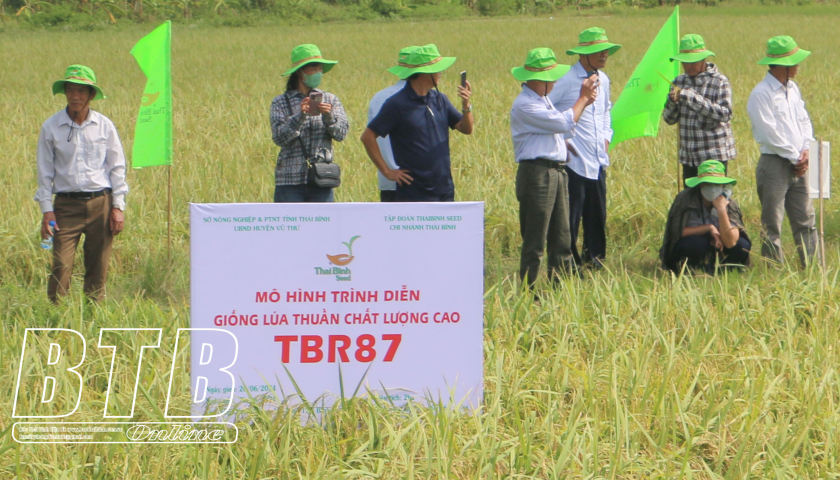 Vai tr&ograve; của HTX trong x&acirc;y dựng n&ocirc;ng th&ocirc;n mới n&acirc;ng cao, n&ocirc;ng th&ocirc;n mới kiểu mẫu