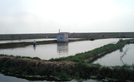 Chuyển mình trên quê biển Thụy Xuân