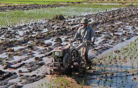 Làm đất nhanh để gieo cấy lúa mùa kịp thời vụ