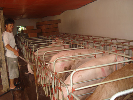 Hội vi&ecirc;n n&ocirc;ng d&acirc;n đăng k&yacute; thi đua lao động sản xuất, kinh doanh giỏi