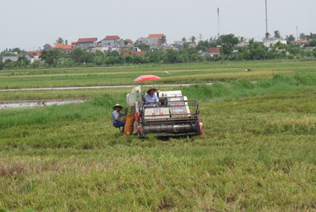 Lực lượng n&ograve;ng cốt trong x&acirc;y dựng n&ocirc;ng th&ocirc;n mới