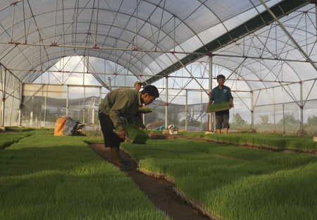 Th&agrave;nh c&ocirc;ng kh&ocirc;ng đợi tuổi