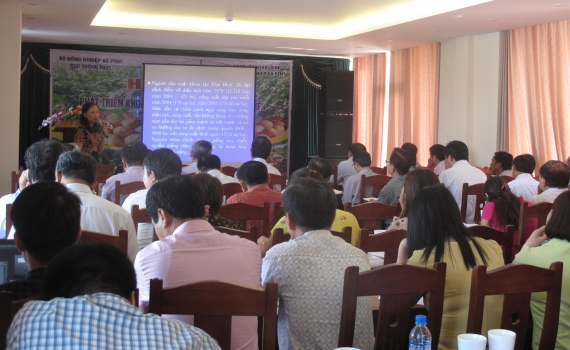 Hội thảo Ph&aacute;t triển khoai t&acirc;y bền vững gắn với chế biến