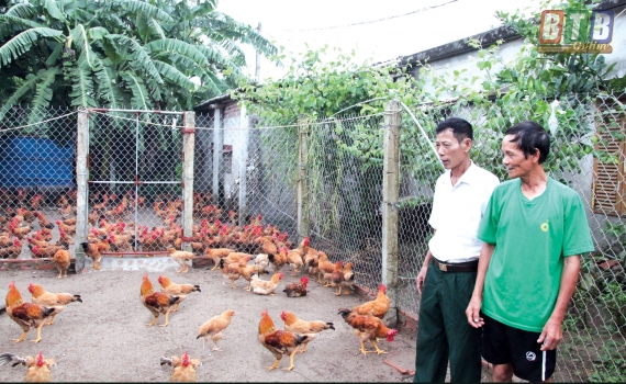 Hội Cựu chiến binh huyện Th&aacute;i Thụy gương mẫu x&acirc;y dựng n&ocirc;ng th&ocirc;n mới