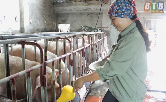 Hội N&ocirc;ng d&acirc;n x&atilde; Đ&ocirc;ng Vinh: T&iacute;ch cực tham gia x&acirc;y dựng n&ocirc;ng th&ocirc;n mới