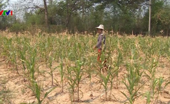 Thái Lan triển khai hàng loạt biện pháp ứng phó với hạn hán