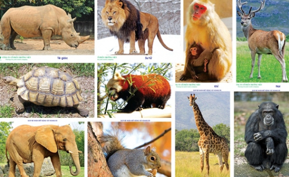 Thủ tướng chỉ thị dừng nhập khẩu động vật hoang d&atilde;