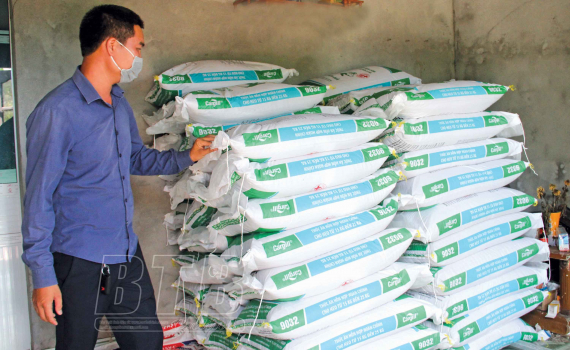 Kỳ 2: Gi&aacute; thức ăn chăn nu&ocirc;i tăng, gi&aacute; lợn hơi xuống thấp