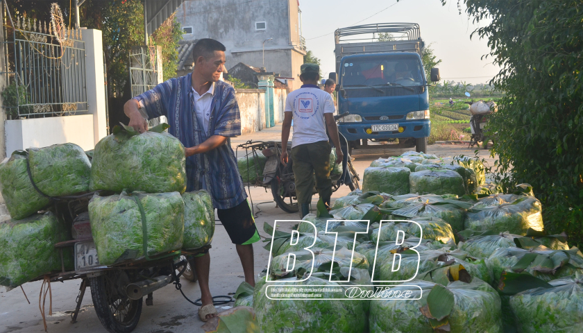 Đổi mới tổ chức sản xuất trong x&acirc;y dựng n&ocirc;ng th&ocirc;n mới