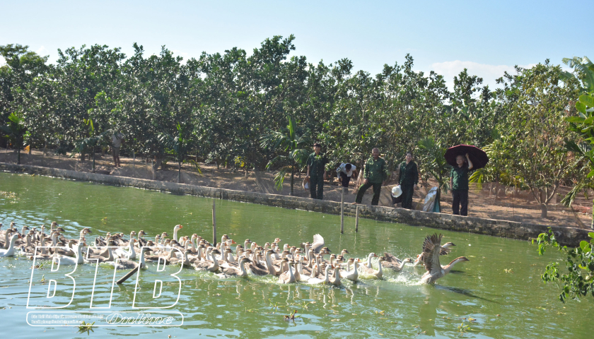 Khẳng định bản lĩnh thời b&igrave;nh