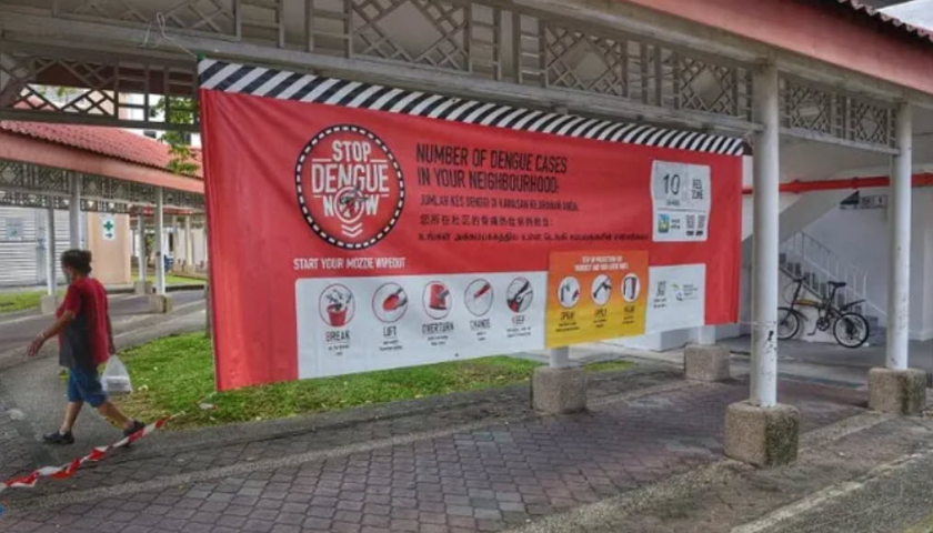 Singapore ghi nhận số ca sốt xuất huyết tăng cao với hơn 10.000 trường hợp từ đầu năm đến nay