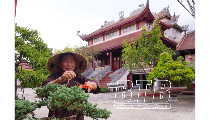 Vũ Thư: Thi đua x&acirc;y dựng &ldquo;Ch&ugrave;a cảnh 4 gương mẫu&rdquo;