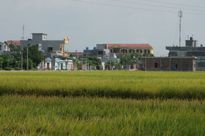 Sau một năm triển khai x&acirc;y dựng m&ocirc; h&igrave;nh n&ocirc;ng th&ocirc;n mới 