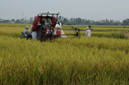 Sự cần thiết v&agrave; cấp b&aacute;ch trong giai đoạn hiện nay