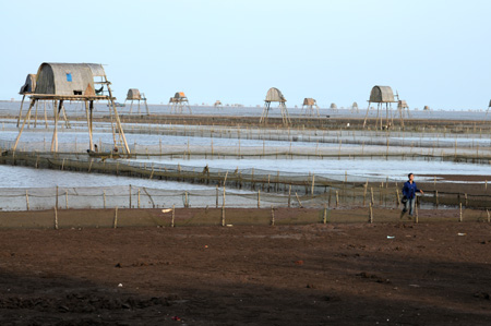 Triển khai c&aacute;c đề &aacute;n về lĩnh vực n&ocirc;ng nghiệp, phổ biến n&acirc;ng cao kiến thức về hội nhập kinh tế quốc tế