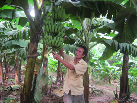 Ph&aacute;t triển kinh tế tr&ecirc;n v&ugrave;ng đất b&atilde;i ven s&ocirc;ng