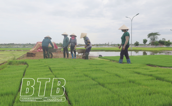 Lan tỏa m&ocirc; h&igrave;nh &ldquo;D&acirc;n vận kh&eacute;o&rdquo; ở Kiến Xương