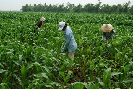 Phấn đấu ghi th&ecirc;m mốc son mới ở vụ đ&ocirc;ng năm 2010