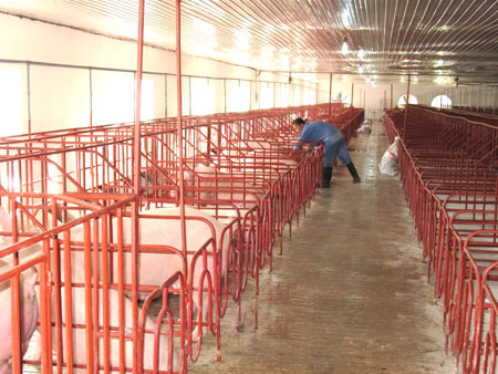 Th&agrave;nh c&ocirc;ng từ những m&ocirc; h&igrave;nh chăn nu&ocirc;i li&ecirc;n kết 3 nh&agrave;