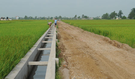 Thực hiện ti&ecirc;u ch&iacute; thủy lợi trong x&acirc;y dựng n&ocirc;ng th&ocirc;n mới