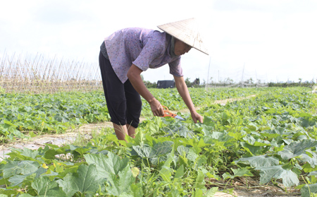 Ng&agrave;y ấy, b&acirc;y giờ