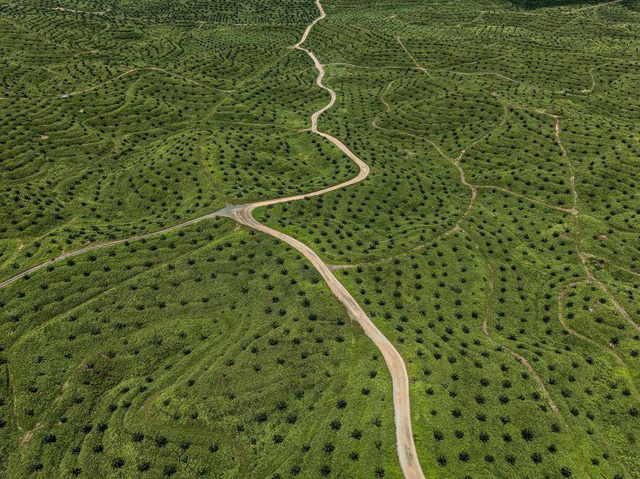 Hình ảnh ấn tượng cho thấy con người đã thay đổi Trái Đất như thế nào? - Ảnh 4.