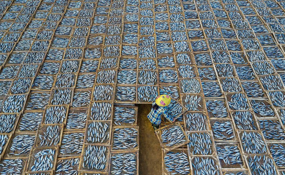 Cảnh phơi cá ở Việt Nam vào top ảnh đẹp quốc tế