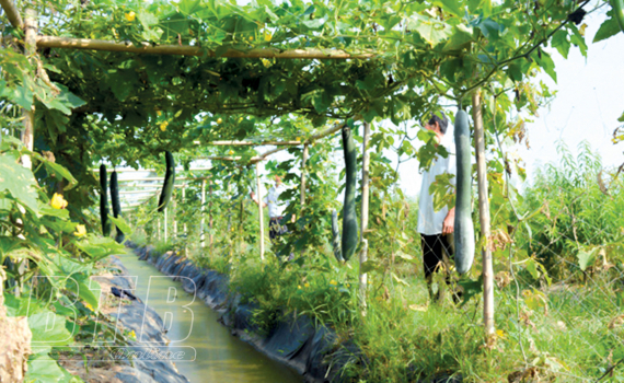 Đại hội đại biểu Đảng bộ tỉnh lần thứ XVI (th&aacute;ng 1/2001)