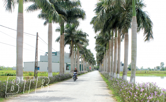 Vũ Thư: Ph&aacute;t triển cơ sở hạ tầng kỹ thuật n&ocirc;ng th&ocirc;n theo hướng đồng bộ, hiện đại