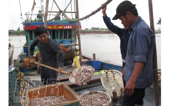 Th&aacute;i Thụy: Tổng gi&aacute; trị sản xuất 9 th&aacute;ng đầu năm 2022 tăng hơn 8,7%