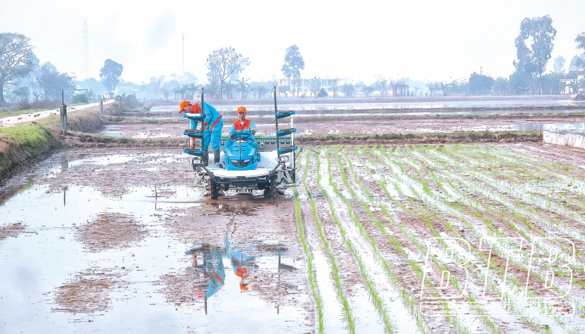 H&agrave;nh tr&igrave;nh &ldquo;tri thức h&oacute;a&rdquo; n&ocirc;ng d&acirc;n